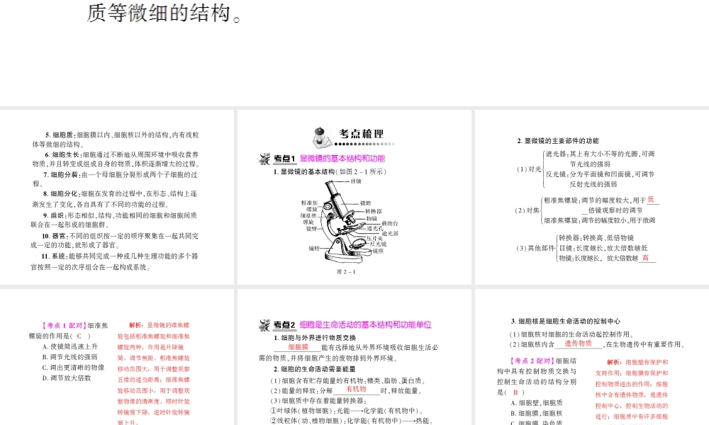 八年级生物 专题二 生物体的结构层次复习课件 （新版）济南版-（新版）济南级全册生物课件