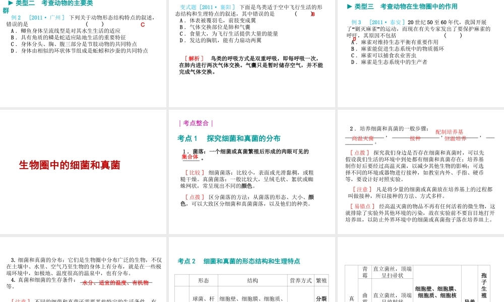 八年级生物 专题六 生物多样性及分类复习课件 （新版）济南版-（新版）济南版初中八年级全册生物课件