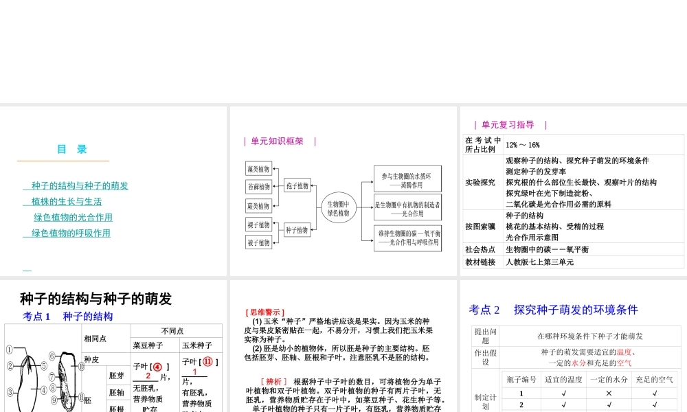 八年级生物 专题三 生物圈中的绿色植物复习课件 （新版）济南版-（新版）济南版初中八年级全册生物课件