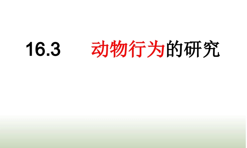 八年级生物上册 16.3《动物行为的研究》课件2 （新版）北师大版-（新版）北师大级上册生物课件