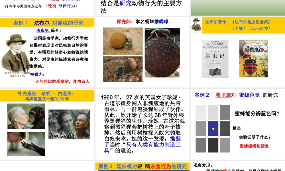 八年级生物上册 16.3《动物行为的研究》课件2 （新版）北师大版-（新版）北师大级上册生物课件