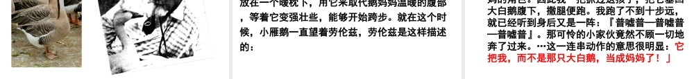 八年级生物上册 16.3《动物行为的研究》课件2 （新版）北师大版-（新版）北师大级上册生物课件
