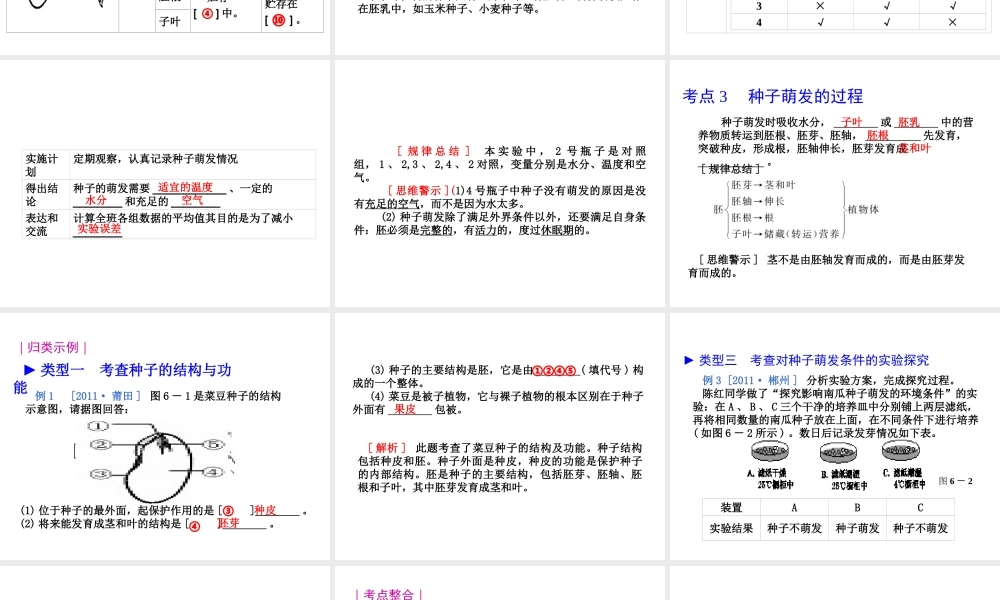 八年级生物 专题三 生物圈中的绿色植物复习课件 （新版）济南版-（新版）济南级全册生物课件