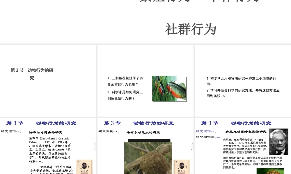八年级生物上册 16.3《动物行为的研究》课件3 （新版）北师大版-（新版）北师大版初中八年级上册生物课件