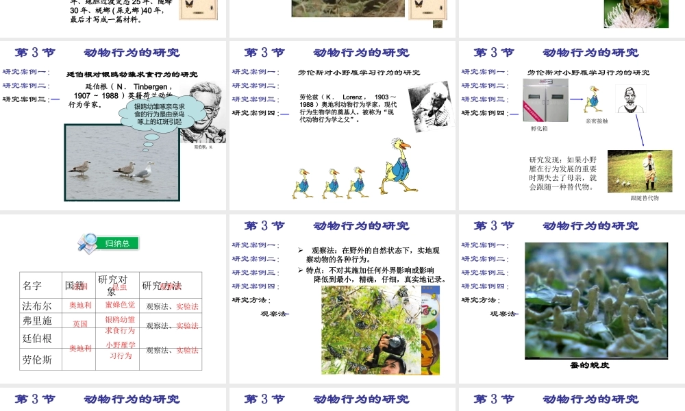 八年级生物上册 16.3《动物行为的研究》课件3 （新版）北师大版-（新版）北师大版初中八年级上册生物课件