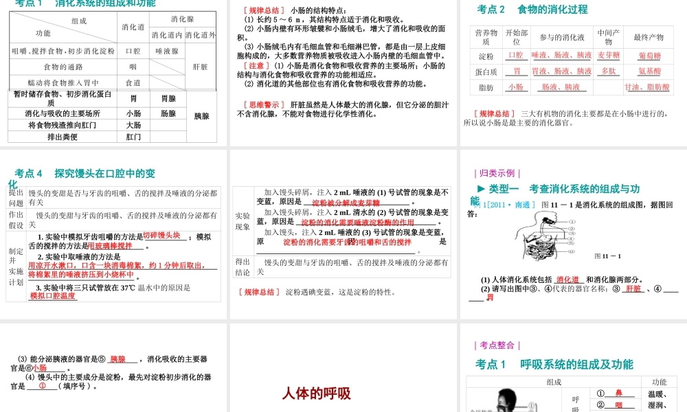 八年级生物 专题四 人体的新陈代谢复习课件 （新版）济南版-（新版）济南级全册生物课件