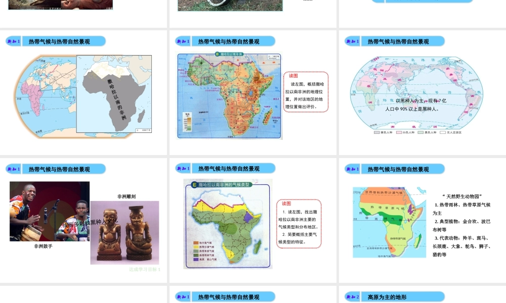 八年级地理下册 第六章 第4节《撒哈拉以南非洲》精品课件 （新版）中图版