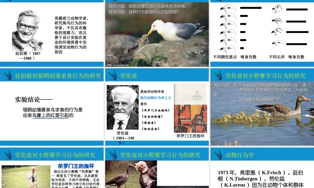 八年级生物上册 16.3动物行为的研究课件 （新版）北师大版-（新版）北师大版初中八年级上册生物课件