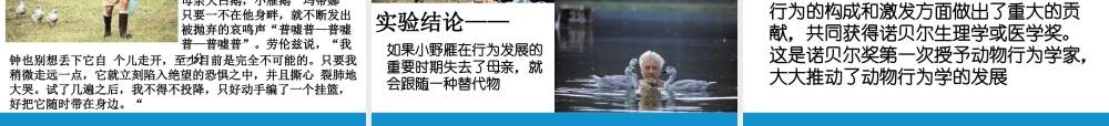 八年级生物上册 16.3动物行为的研究课件 （新版）北师大版-（新版）北师大版初中八年级上册生物课件