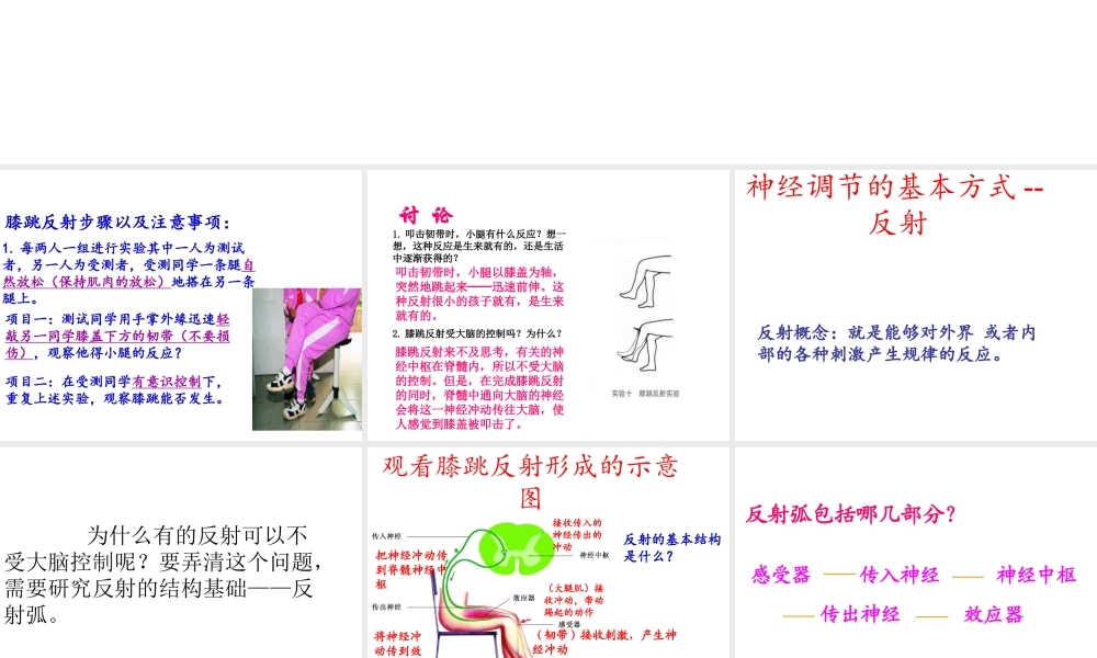 八年级生物上册 2.2 神经调节的基本方式课件 沪教版-沪教版初中八年级上册生物课件
