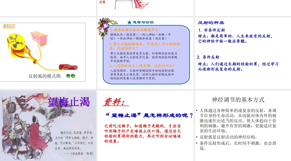 八年级生物上册 2.2 神经调节的基本方式课件 沪教版-沪教版初中八年级上册生物课件