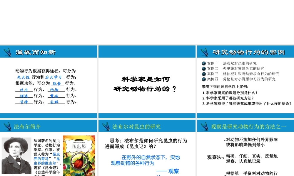 八年级生物上册 16.3动物行为的研究课件 （新版）北师大版-（新版）北师大级上册生物课件