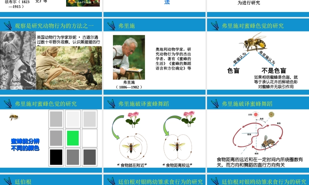 八年级生物上册 16.3动物行为的研究课件 （新版）北师大版-（新版）北师大级上册生物课件