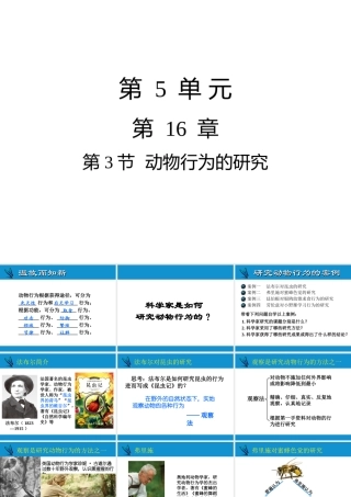 八年级生物上册 16.3动物行为的研究课件 （新版）北师大版-（新版）北师大级上册生物课件
