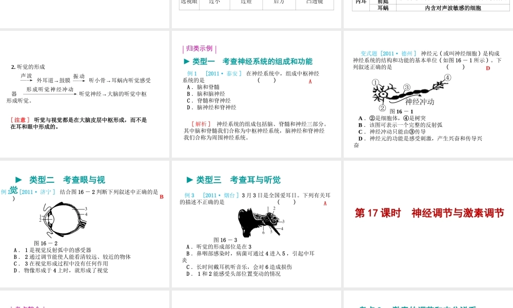 八年级生物 专题五 生命活动的调节复习课件 （新版）济南版-（新版）济南级全册生物课件