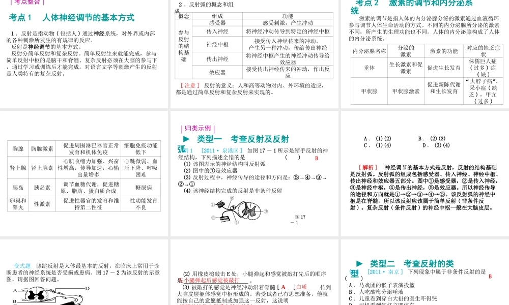 八年级生物 专题五 生命活动的调节复习课件 （新版）济南版-（新版）济南级全册生物课件