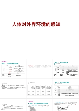 八年级生物 专题五 生命活动的调节复习课件 （新版）济南版-（新版）济南级全册生物课件