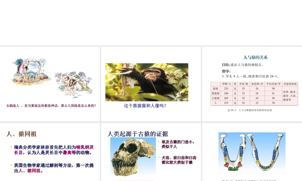 八年级生物上册 16.4 人类的起源和进化课件 （新版）苏教版-（新版）苏教版初中八年级上册生物课件
