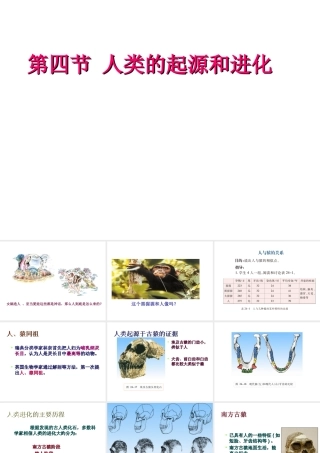 八年级生物上册 16.4 人类的起源和进化课件 （新版）苏教版-（新版）苏教版初中八年级上册生物课件