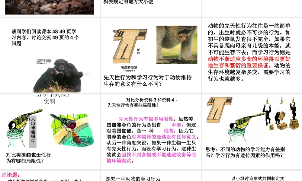 八年级生物上册 2.2 先天性行为和学习行为课件 （新版）新人教版