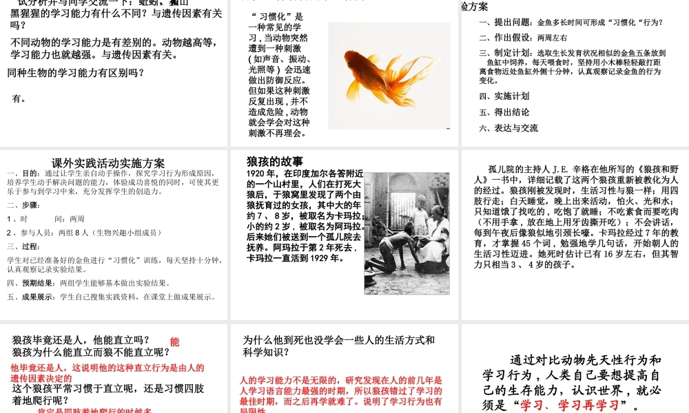 八年级生物上册 2.2 先天性行为和学习行为课件 （新版）新人教版