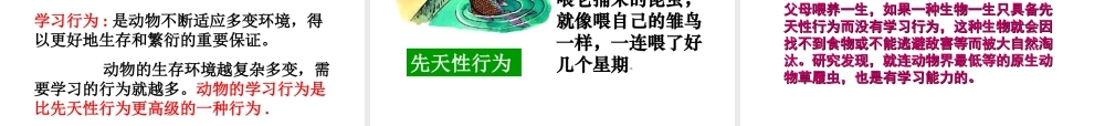 八年级生物上册 2.2 先天性行为和学习行为课件 新人教版
