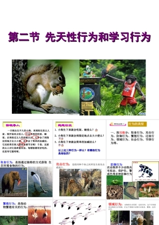 八年级生物上册 2.2 先天性行为和学习行为课件 新人教版
