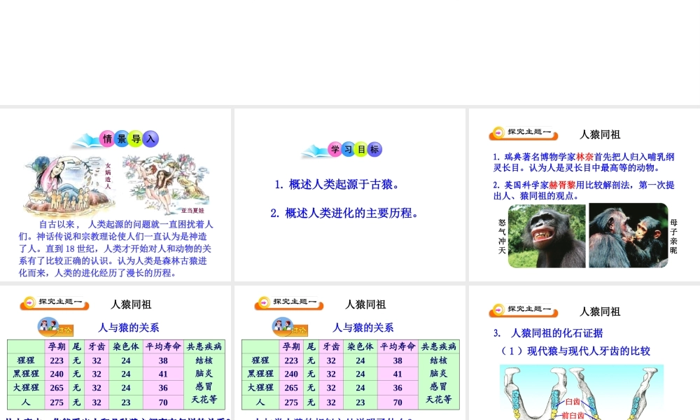 八年级生物上册 16.4 人类的起源和进化课件 苏教版-苏教版初中八年级上册生物课件