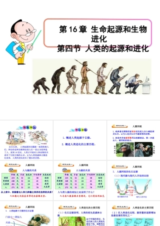 八年级生物上册 16.4 人类的起源和进化课件 苏教版-苏教版初中八年级上册生物课件
