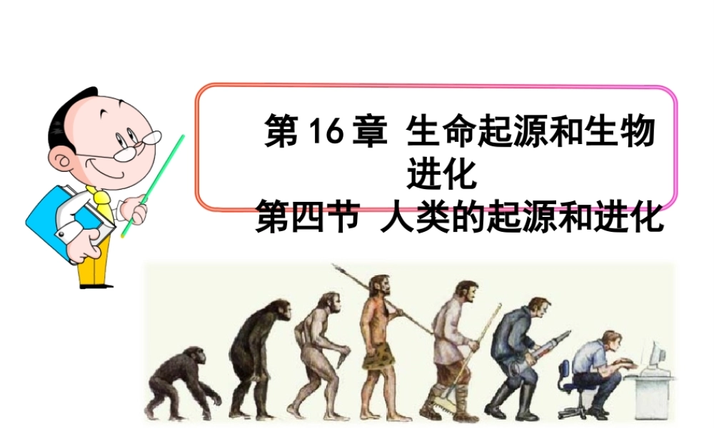 八年级生物上册 16.4 人类的起源和进化课件 苏教版-苏教级上册生物课件