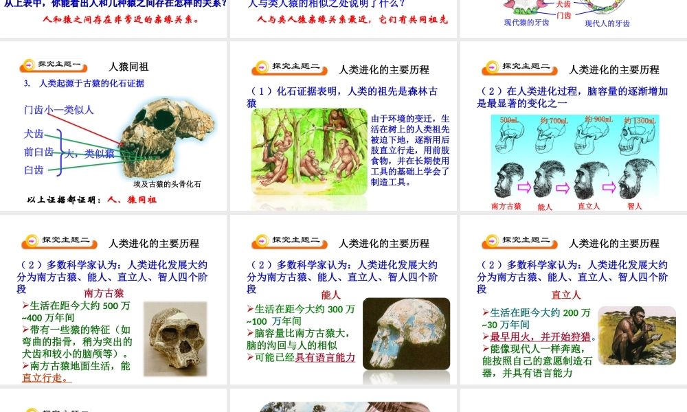 八年级生物上册 16.4 人类的起源和进化课件 苏教版-苏教级上册生物课件