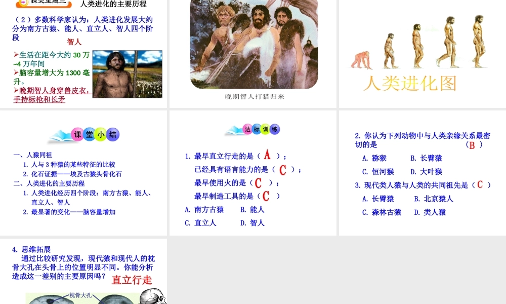 八年级生物上册 16.4 人类的起源和进化课件 苏教版-苏教级上册生物课件