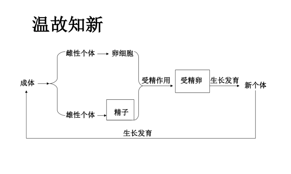 八年级生物上册  动物的发育教学课件 （新版）苏科版-（新版）苏科级上册生物课件