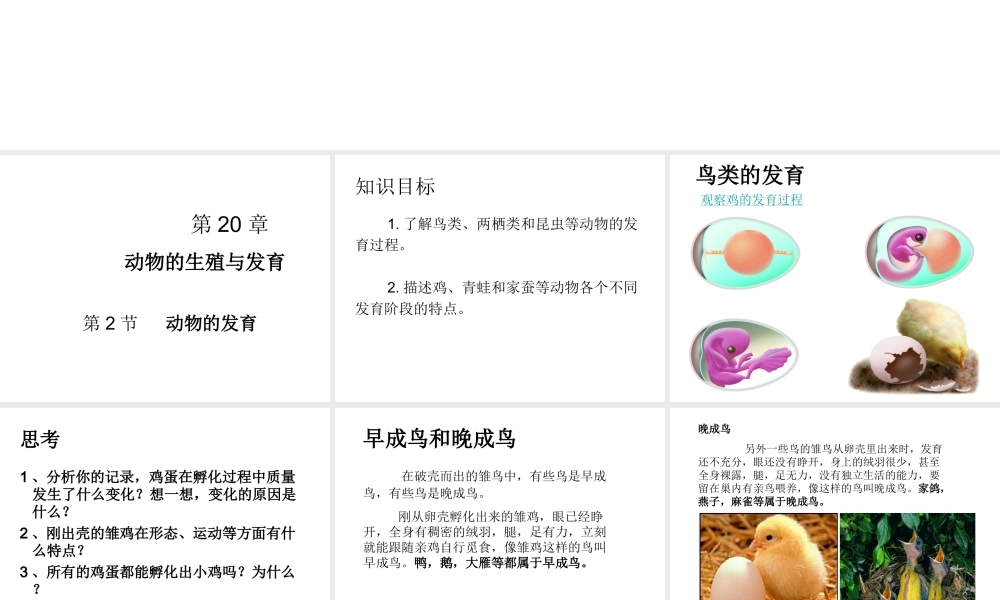 八年级生物上册  动物的发育教学课件 （新版）苏科版-（新版）苏科级上册生物课件