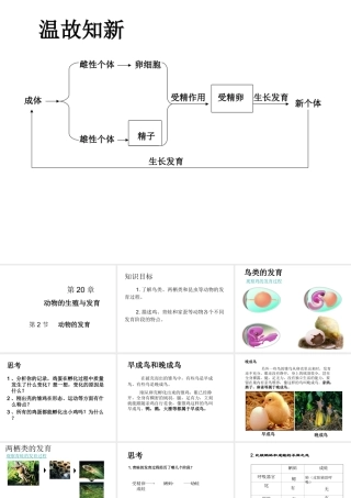 八年级生物上册  动物的发育教学课件 （新版）苏科版-（新版）苏科级上册生物课件