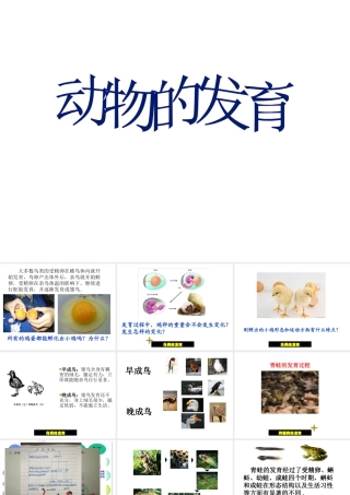 八年级生物上册  动物的发育课件1 苏科版-苏科级上册生物课件