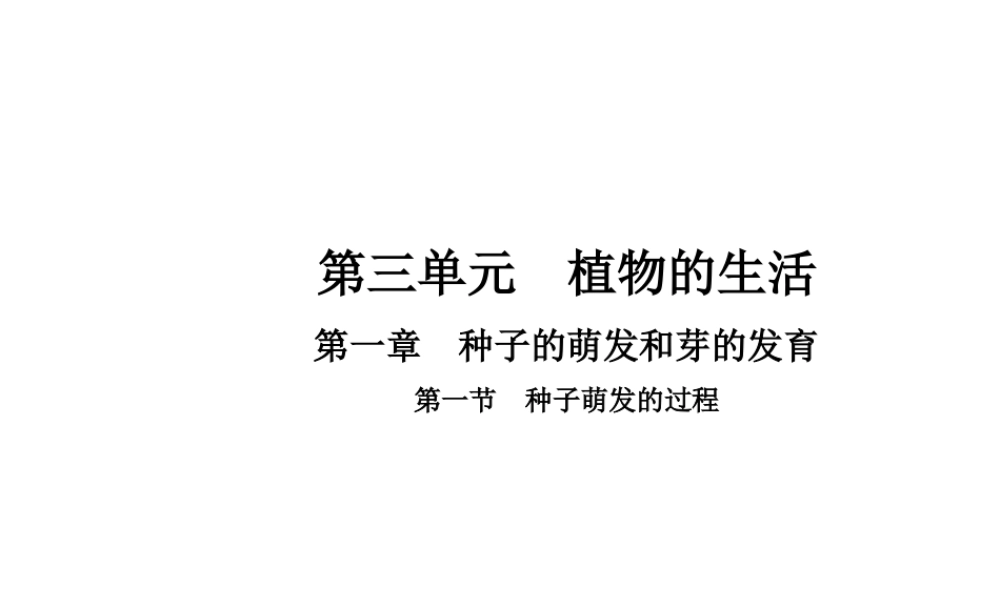 八年级生物上册 3.1.1 种子萌发的过程课件 （新版）冀教版-（新版）冀教级上册生物课件