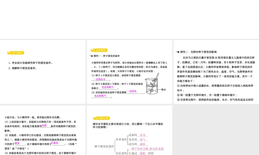 八年级生物上册 3.1.2 种子萌发的条件课件 （新版）冀教版-（新版）冀教级上册生物课件