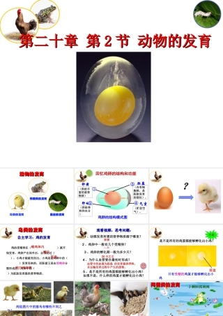 八年级生物上册  动物的发育课件2 苏科版-苏科级上册生物课件