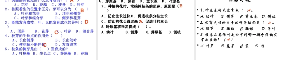 八年级生物上册 3.1.3 芽的发育课件 （新版）冀教版-（新版）冀教版初中八年级上册生物课件