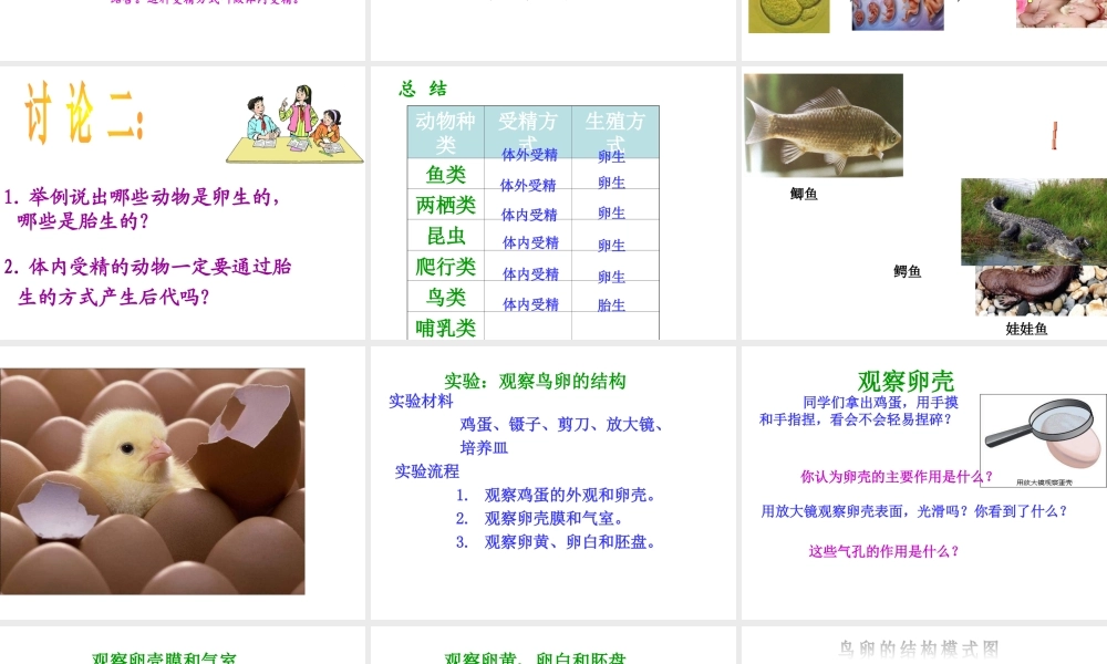 八年级生物上册  动物的生殖教学课件 （新版）苏科版-（新版）苏科级上册生物课件