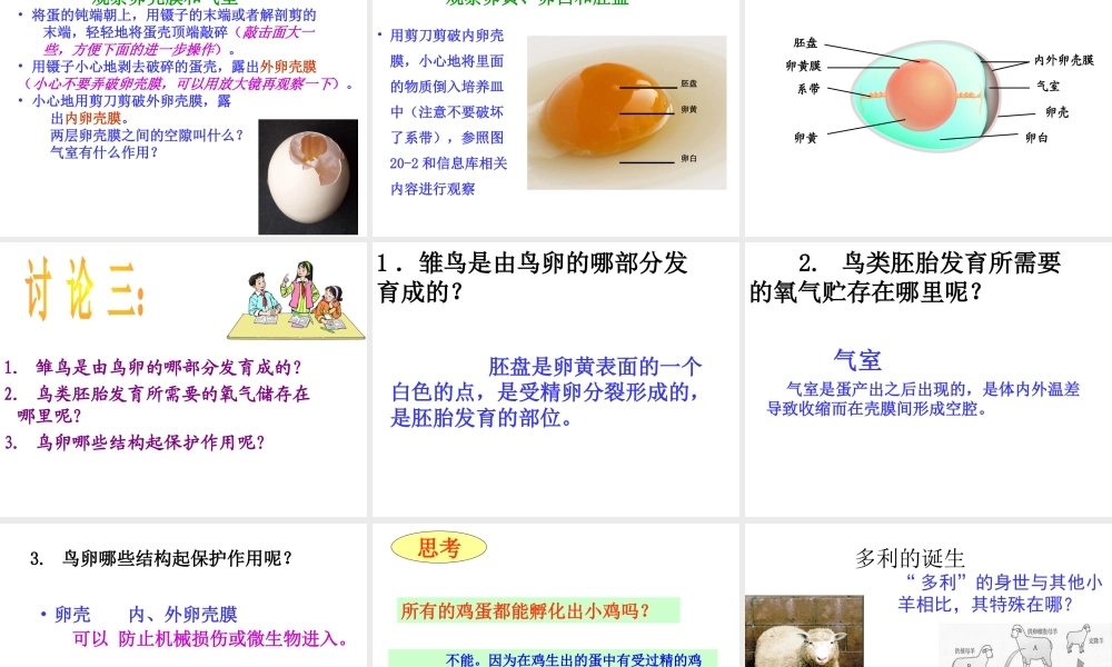 八年级生物上册  动物的生殖教学课件 （新版）苏科版-（新版）苏科级上册生物课件