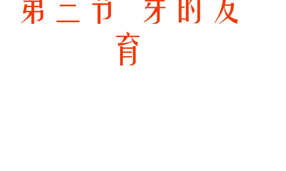 八年级生物上册 3.1.3 芽的发育课件 （新版）冀教版-（新版）冀教级上册生物课件