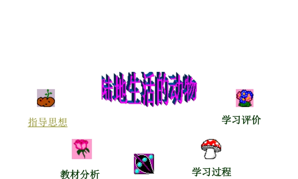 八年级生物上册  陆地生活的动物课件 人教新课标版