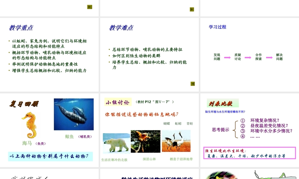 八年级生物上册  陆地生活的动物课件 人教新课标版