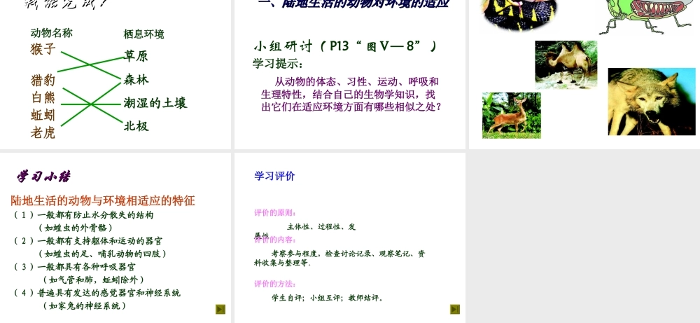 八年级生物上册  陆地生活的动物课件 人教新课标版