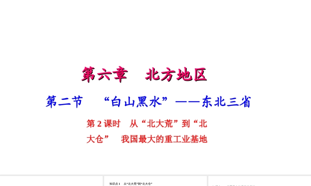 八年级地理下册 第六章 第二节 白山黑水 东北三省（第2课时）习题课件 （新版）新人教版-（新版）新人教版初中八年级下册地理课件