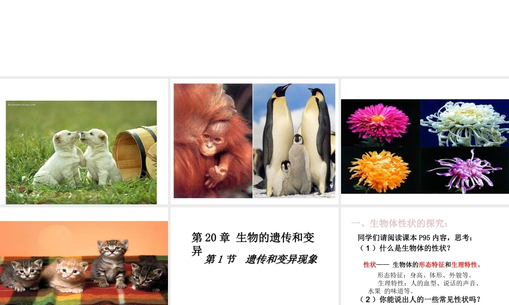八年级生物上册  生物的遗传必变异现象课件 （新版）北师大版-（新版）北师大级上册生物课件