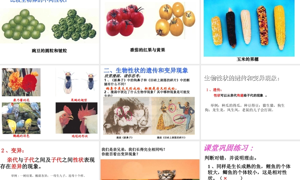 八年级生物上册  生物的遗传必变异现象课件 （新版）北师大版-（新版）北师大级上册生物课件