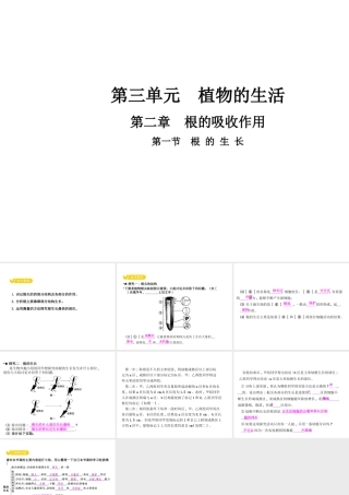 八年级生物上册 3.2.1 根的生长课件 （新版）冀教版-（新版）冀教版初中八年级上册生物课件